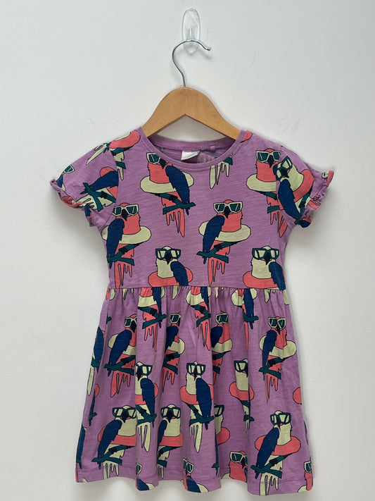 Next 2-3 Years - Purple Parrot Patterned Dress