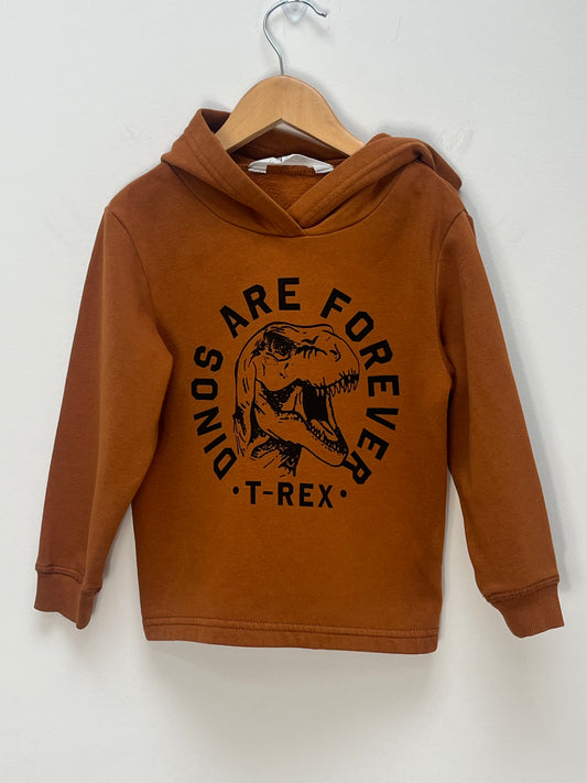 H&M 2-4 Years - Rust Hooded Sweatshirt with Dinosaur Print